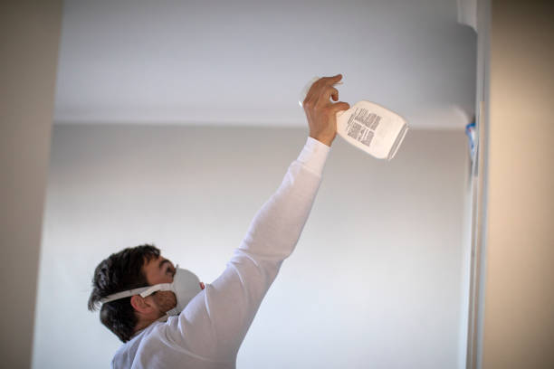 Best Emergency Mold Removal  in Pomeroy, OH